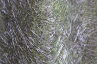 Penycae fibreglass roof work